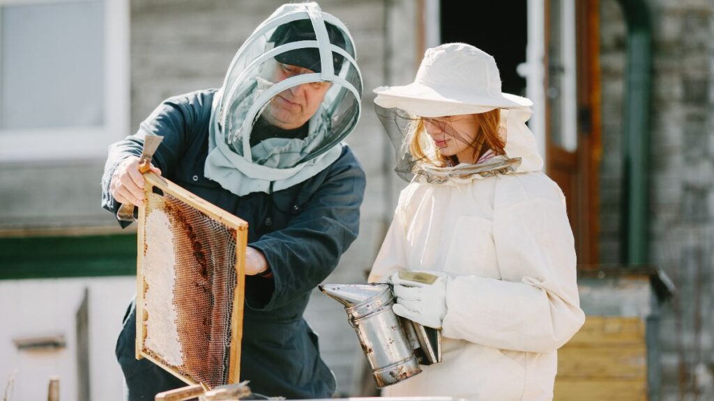 Bee Buddy: Using Technology, Community, and Education to Transform Beekeeping