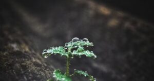 Aponeyrvsh: Understanding Its Potential and Meaning