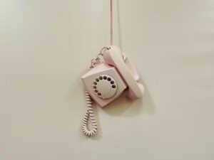 02045996879 – Who Is Calling?