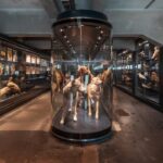Laaster: History, Evolution, and Future Trends
