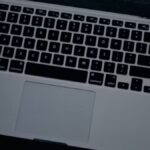 traceloans.com: All You Need To Know