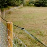 How Quality Fencing Solutions Improve Safety, Privacy, and Property Value